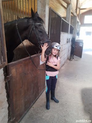 Cursuri de echitatie - imagine 2