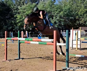 Cursuri de echitatie - imagine 5