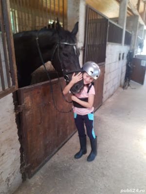 Cursuri de echitatie