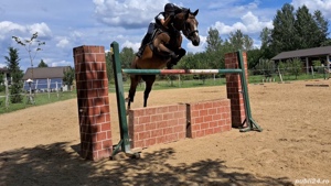 Cursuri de echitatie - imagine 6