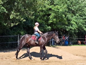 Cursuri de echitatie - imagine 7