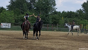 Cursuri de echitatie - imagine 10