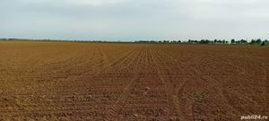 Teren intravilan industrian  16.500 mp , Deschidere 27 ml 