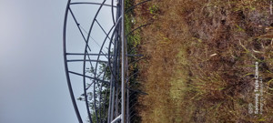 VÂND Solar second hand import Spania 10 m x 50 m - imagine 2