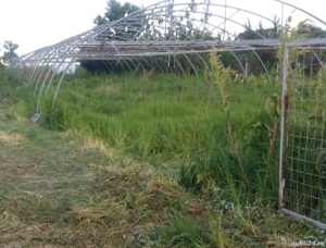 VÂND Solar second hand import Spania 10 m x 50 m - imagine 5