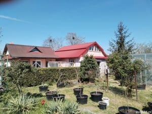 Casa anexe teren Tuzla Constnta - imagine 4