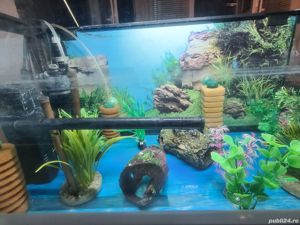 Vând acvariu  - imagine 3