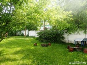 Pensiune functionala Staiunea Buzias la 30km de Timisoara - imagine 7