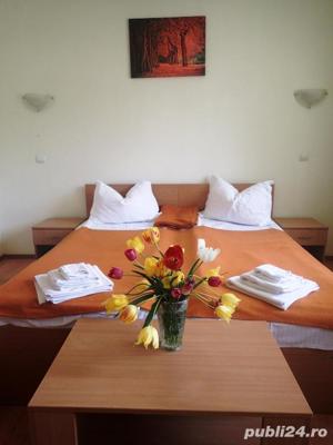 Pensiune functionala Staiunea Buzias la 30km de Timisoara - imagine 15