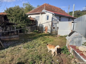 Gospodărie formată din casă de locuit +anexă(grajd) cu terenul aferent de 1,5 ha - imagine 3