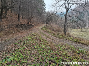 Teren Straja – Pangarati 3560 m, zona de Pensiune - imagine 6