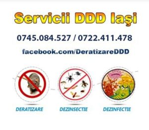 Deratizare-Dezinfectie-Dezinsectie Iasi