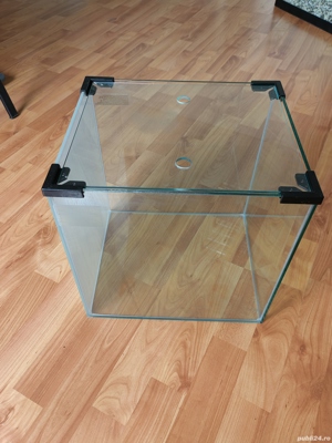 Acvarii Hobby  - imagine 4