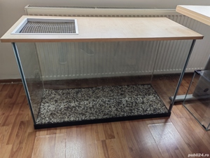 Acvarii Hobby  - imagine 5