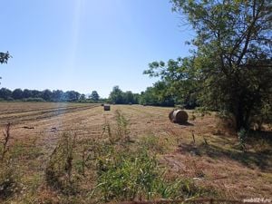 Vand U R G E N T !!! Ferma cu Teren Agricol de Vanzare in Batania - Battonya - Ungaria.  - imagine 11