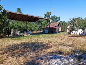 Ferma cu Teren Agricol de Vanzare in Batania - Battonya - Ungaria.  - imagine 9