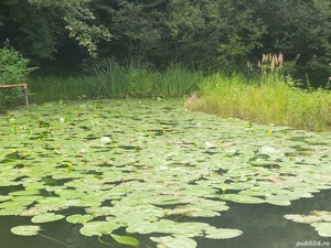 Închiriez cabana Lac Mujdeni Orașul Nou - imagine 3