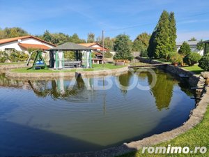 Vila de lux cu iaz si piscina zona rezidentiala de vanzare in Sebes - imagine 3