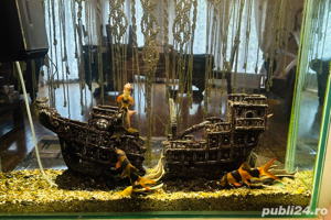 Acvariu din sticla semirotund facut pe comanda in  in Austria circa 450l  - imagine 8