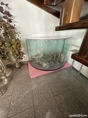 Acvariu din sticla semirotund facut pe comanda in  in Austria circa 450l  - imagine 4
