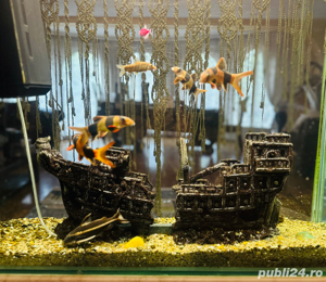 Acvariu din sticla semirotund facut pe comanda in  in Austria circa 450l  - imagine 7