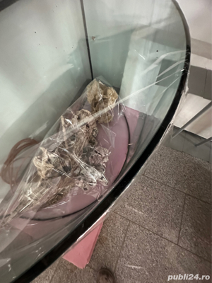 Acvariu din sticla semirotund facut pe comanda in  in Austria circa 450l  - imagine 5