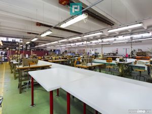 Spațiu industrial cu platformă betonată și teren - imagine 10