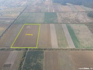  Teren de Vânzare - 2,1 Hectare în Apropierea Pădurii Bistra  Comision 0! - imagine 3