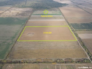  Teren de Vânzare - 2,1 Hectare în Apropierea Pădurii Bistra  Comision 0! - imagine 2