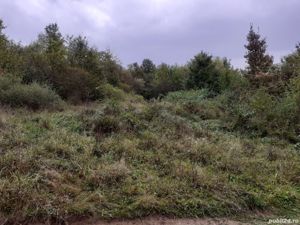 Schimb sau vand Pamant Arabil cu Auto,Apartament , Teren Intravilan - imagine 9 Schimb sau vand Pamant Arabil cu Auto,Apartament , Teren Intravilan - imagine 9