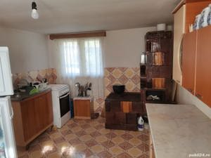 Vand casa in Bezdead + terenuri 10786mp + padure 5000mp - imagine 4