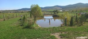 Vănd casă de locuit, toate utilitățile, lac de pescuit, grădină - imagine 4