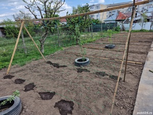 Casa de vânzare în Fălticeni, jud. Suceava - imagine 8