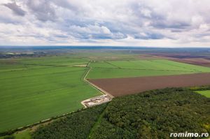 Teren 1584 Hectare pe lunca Mureșului - imagine 3