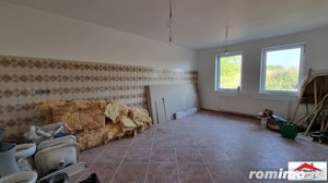 Casa Pensiune in Viile Satu Mare teren 1,63 ha ( ID 22489 ) - imagine 13