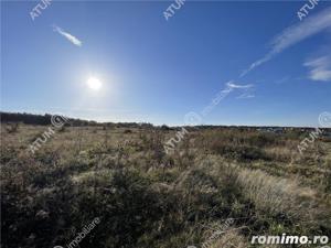 Teren de 6000 mp situat in Sibiu zona industriala Selimbar - imagine 2