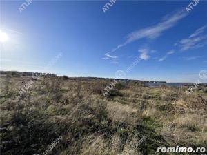 Teren de 6000 mp situat in Sibiu zona industriala Selimbar - imagine 3