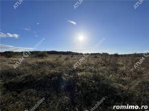 Teren de 6000 mp situat in Sibiu zona industriala Selimbar - imagine 4