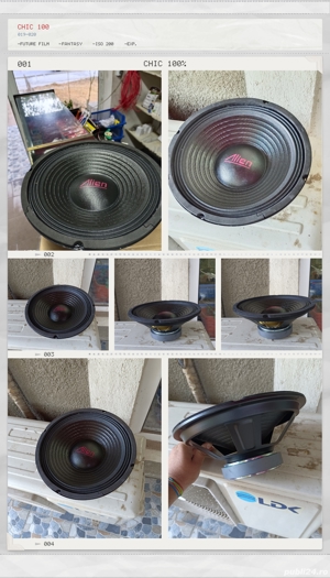 vand difuzoare de 10inch 25cm  - imagine 3