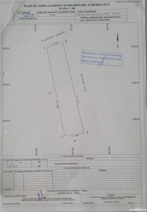 Vand teren intravilan in Adunatii Copaceni, sat Varlaam,Giurgiu - imagine 3