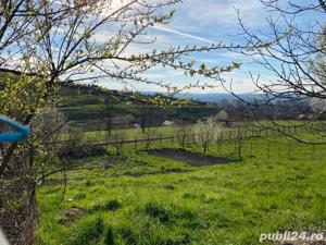 Vând teren intravilan în Tg-Mures  - imagine 7