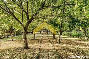 Casa de vinzare zona Gradiste - imagine 14