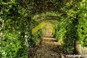 Casa de vinzare zona Gradiste - imagine 13