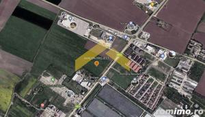 Teren pentru dezvoltare imobiliara 11ha-front 210 ml Arad - imagine 3