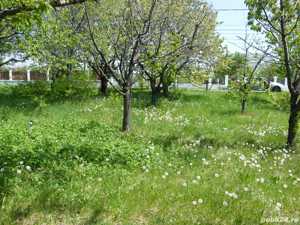 Vand teren 4903 mp, stradal, central, in orasul Valenii de Munte, jud. Prahova cu toate utilitatile - imagine 3