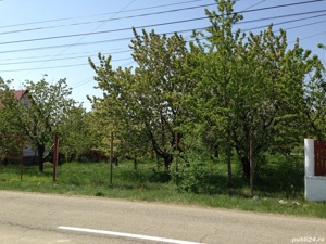 Vand teren 4903 mp, stradal, central, in orasul Valenii de Munte, jud. Prahova cu toate utilitatile - imagine 2