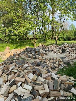 Lemne foc esenta tare uscate