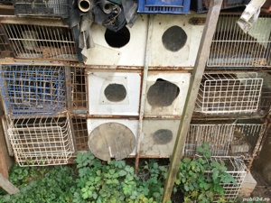 Vand cușca iepuri trusa de tinichegie  - imagine 5 Vand cușca iepuri trusa de tinichegie  - imagine 5