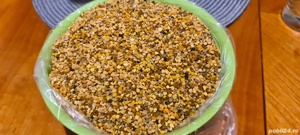 Polen crud poliflor recolta primăvară 2025  - imagine 4