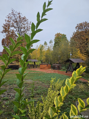 Cazare Închiriere Cabana Casa Donca 3***in Bistra Muresului ,Deda Bistra - imagine 9